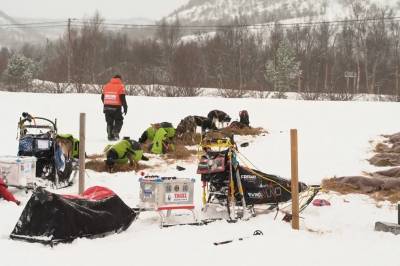Mildvær gjør det tungt for hundene i Finnmarksløpet