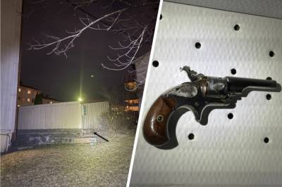 Skutt i hodet etter hundegård-møte: – Spesiell sak