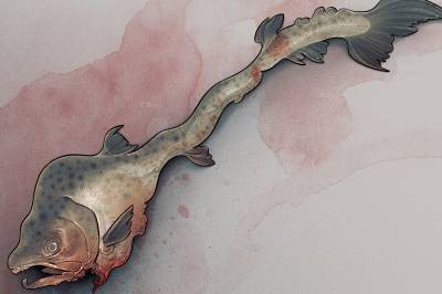 Er norsk økonomi så sunn som vi tror?