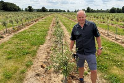Verdens nordligste olivenlund skal redde familiegården fra klimaendringer