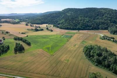 Ordfører opplevde press om Fensfeltet – statsråder avviser overkjøring