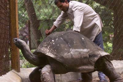 Hvor ligger atolløyen Aldabra, kjent for sine skilpadder?