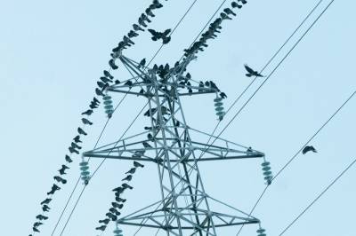 Noe er råttent i norsk energi- og næringspolitikk