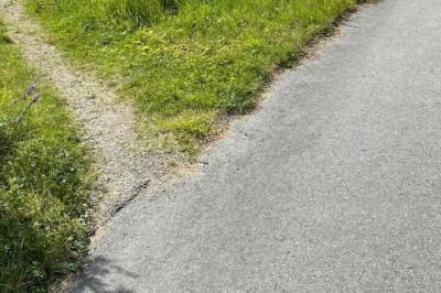 Dette bildet får den norske hjerne­­forskeren til å le