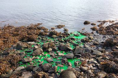 Slik avslører toalettet deg!