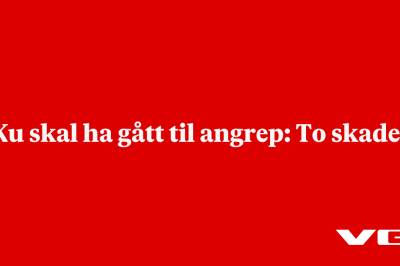 Ku skal ha gått til angrep: To skadet