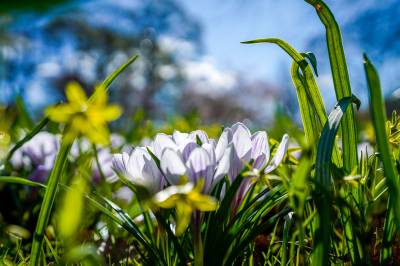Varsler kaldere helg etter det som kan bli årets første sommerdag – sørpå