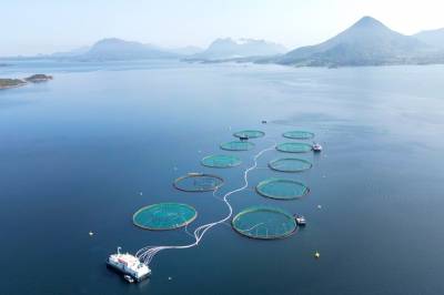 Sjekk Mowi-resultatet: – Rekordår