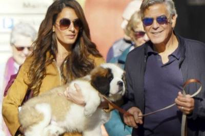 Bor i skjul på slottet