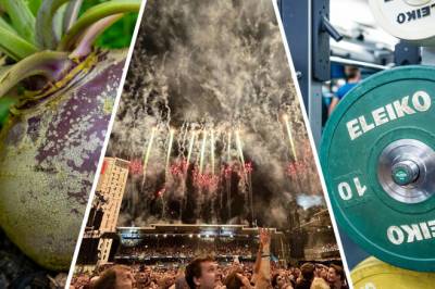 Klar tale fra ekspertene: Dette bør du gjøre i 2026