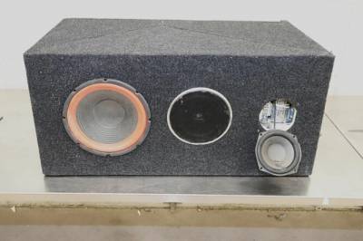 Sjokkfunn i høyttaleren