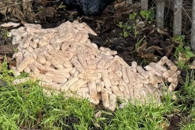 Snur nabolaget på hodet