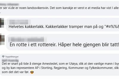 Meiner stortingspolitikar legg ut «klikk-åte» på Facebook – langt over streken, seier ekspert