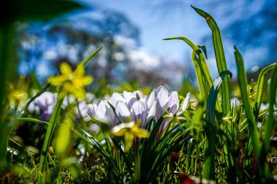 Meteoro­logen: – Vil krype lenger sørover