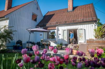 Se hagen: – Målet mitt er minst mulig arbeid og mest mulig hageglede