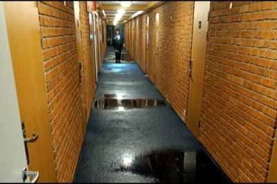 Avslørt etter DNA-funn