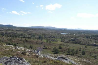 Nesten halvparten rødlista