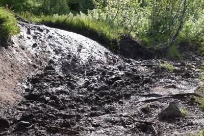 Bekymret for stor slitasje på naturen
