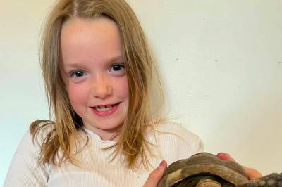 Skilpadden Glenn (52) hjemme igjen