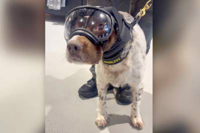 Slik jobber Walter (8) – fra luften