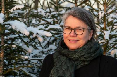 Forskere reagerer på nordmenns interesse for plastjuletrær