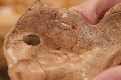 Forskere finner en neandertaler som kan ha blitt utsatt for brutal vold