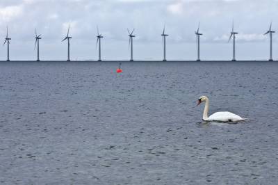 Stiller spørsmål ved havvindens miljøgevinst