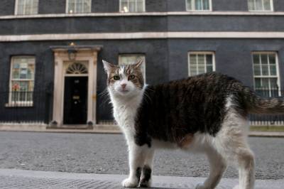 Kjendis­katten Larry feirer 15 år i jobben