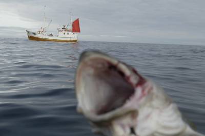 Et glimt av fornuft fra Russland