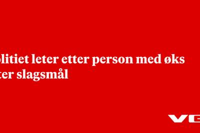 Politiet leter etter person med øks etter slagsmål
