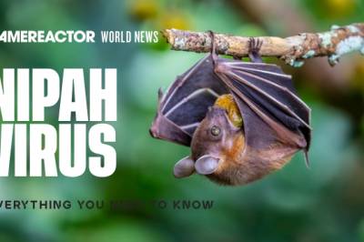 Alt du trenger å vite om Nipah-viruset etter at India har bekreftet to tilfeller
