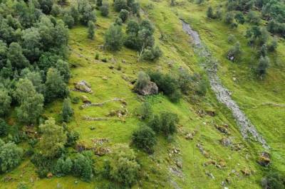 Jordskred: – Det er avgjørende å vite nøyaktig hvilken skog vi rett og slett ikke har råd til å hugge ned