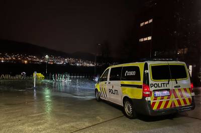 Mann (20) tiltalt: Skal ha kastet hunden Basse i sjøen fra seks meters høyde