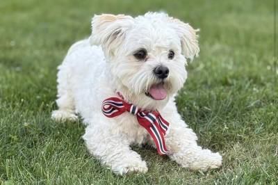 Har vært borte i snart ett døgn: – Helt sykt hvor mange som ønsker å bidra