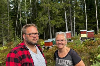 Sol og varme gjør det vanskeligere for årets lynghonning