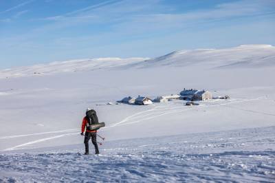 Derfor føler du deg annerledes på fjellet – og i parken