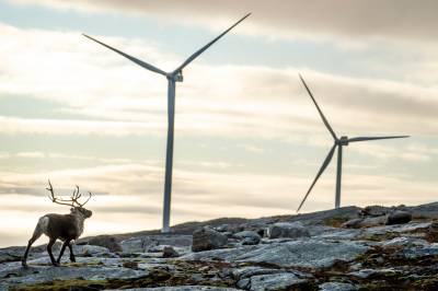 Stå opp for naturen og rettssikkerheten