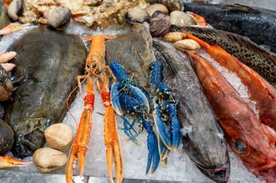 Norsk import fra Russland økte i fjor – første gang siden fullskalainvasjonen