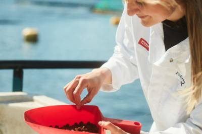 Dette bør laksen spise