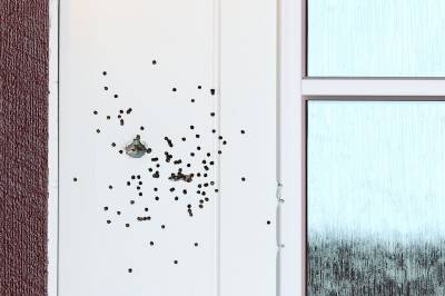 Hagleskuddene på Skjetten: Video viser skytteren