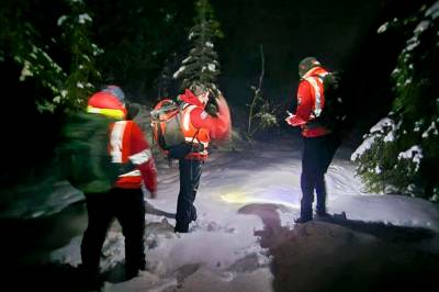 Savnet kvinne funnet omkommet i Telemark