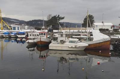 – Livet i havnene dør ut