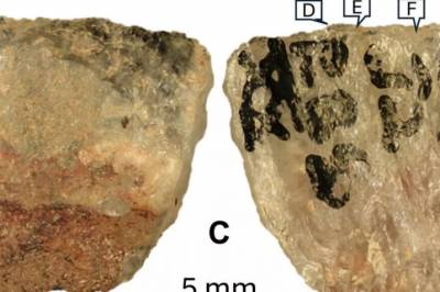 Verdens eldste giftvåpen funnet i Sør-Afrika