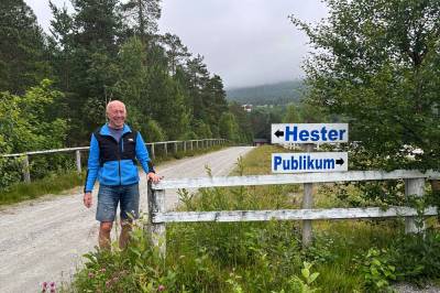 Tåke over travbanen