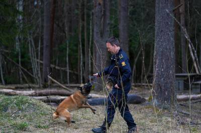 Siktet for voldtektsforsøk: Fengslet og siktet for nye forhold