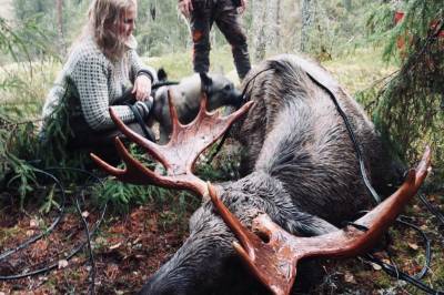 Elg skutt med telekabel rundt hornene: – Trist