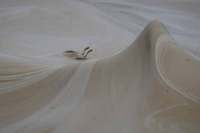 Døden i Svartehavet