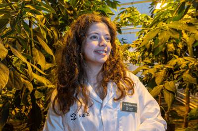 Her dyrker hun en frukt som aldri har vokst i Norge før, og nordmenn elsker den