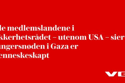 Alle medlemslandene i Sikkerhetsrådet – utenom USA – sier hungersnøden i Gaza er menneskeskapt