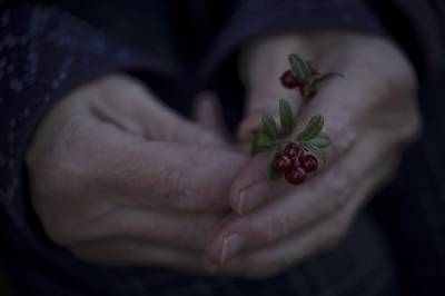 Åpner utstilling med tidsvitner fra nord